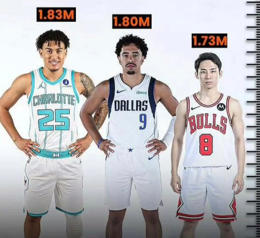 关注, bt 关注, bt